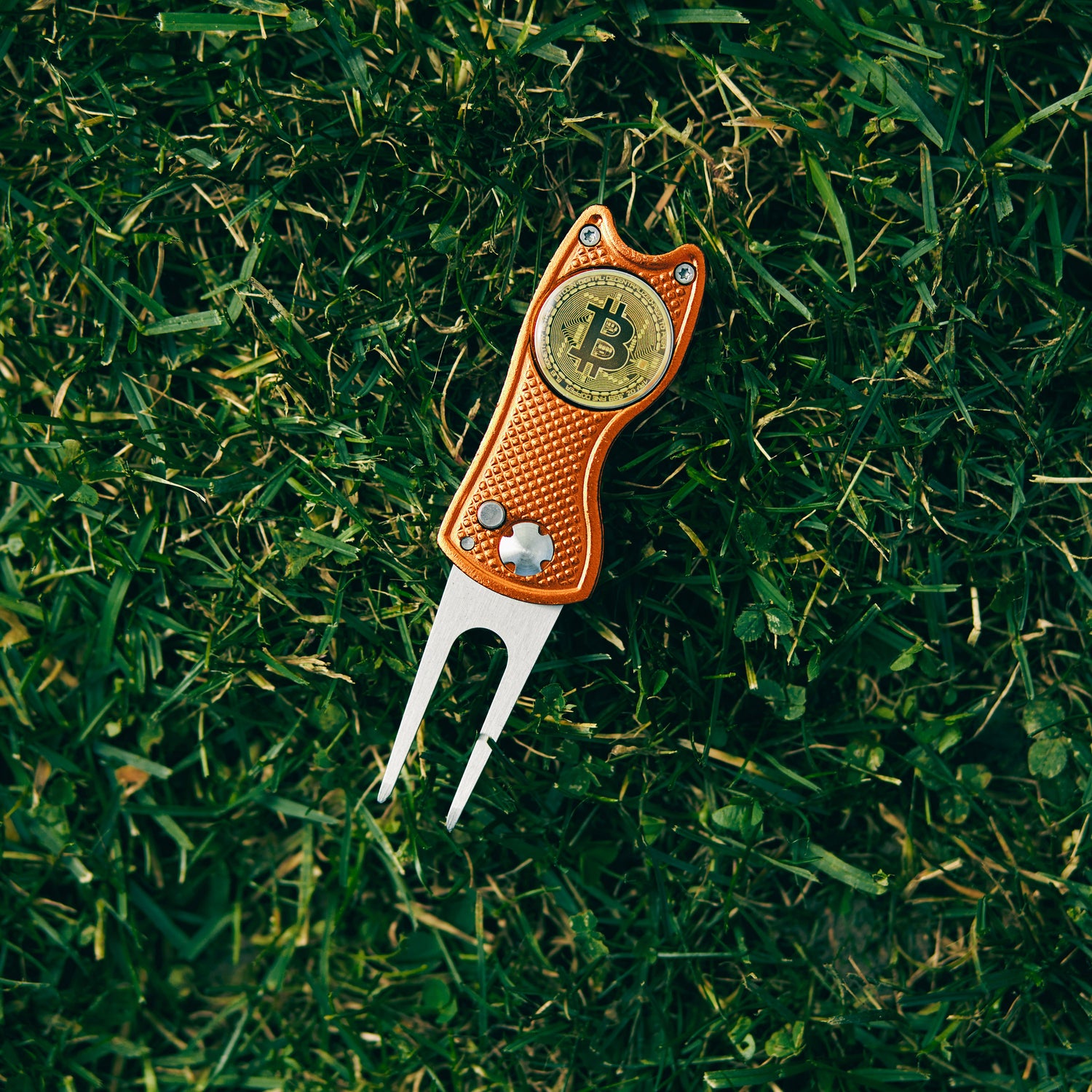 Bitcoin - Divot Tools